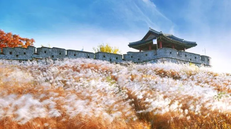 How to Get from Seoul Station to Suwon