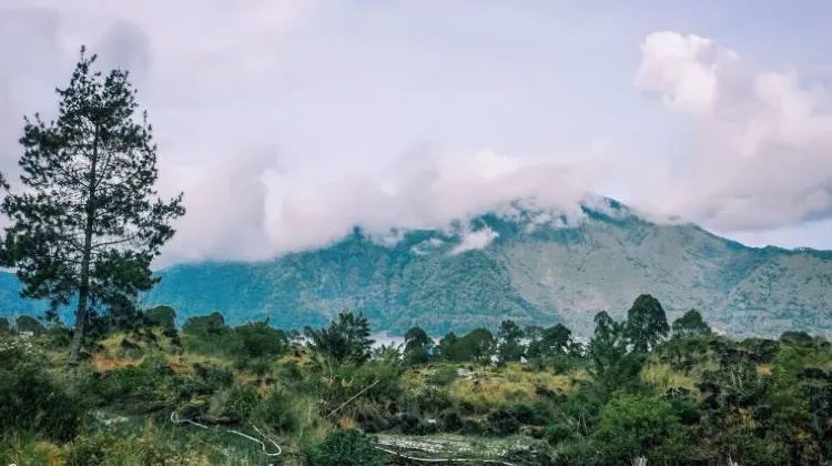 Blissful Hot Springs of Kintamani