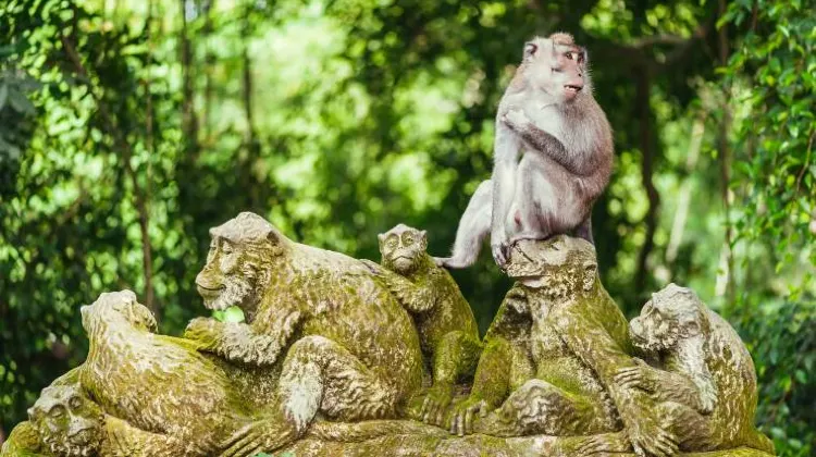 Be Mesmerized by the Sacred Monkey Forest Sanctuary